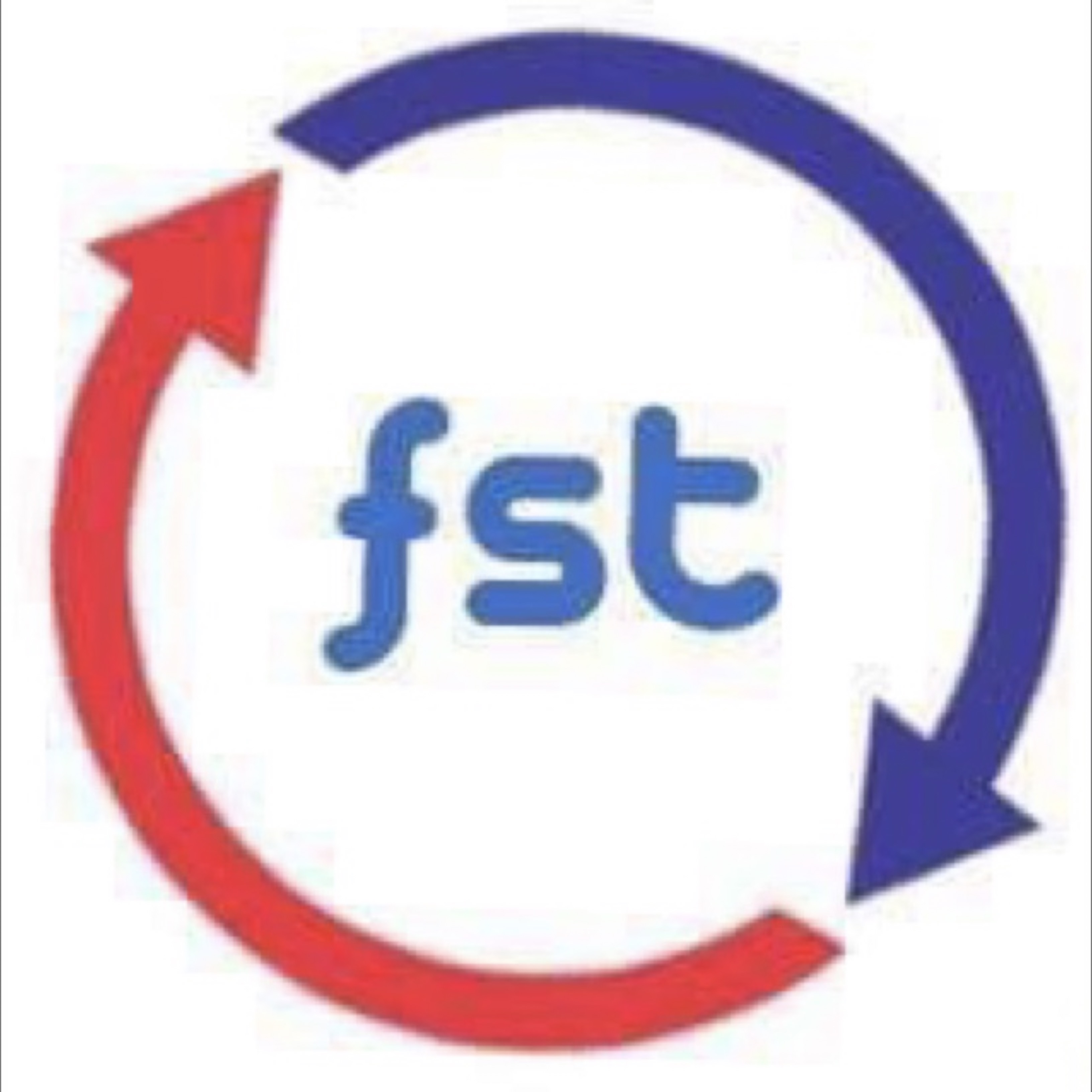 Frigo Sistem Todosijević Logo
